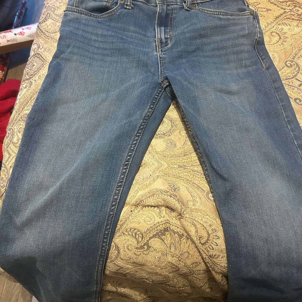 Levi's Men's Straight Jeans in Denim Blue